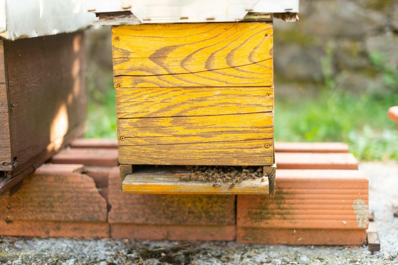 Honey Farm House Virpazar Exterior foto