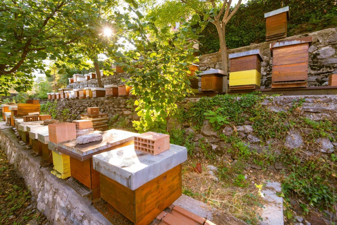 Honey Farm House Virpazar Exterior foto